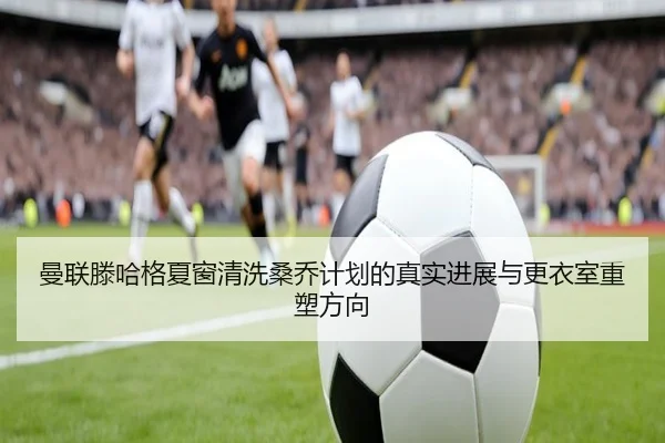 img_1781379929287_1195_1_196.jpg